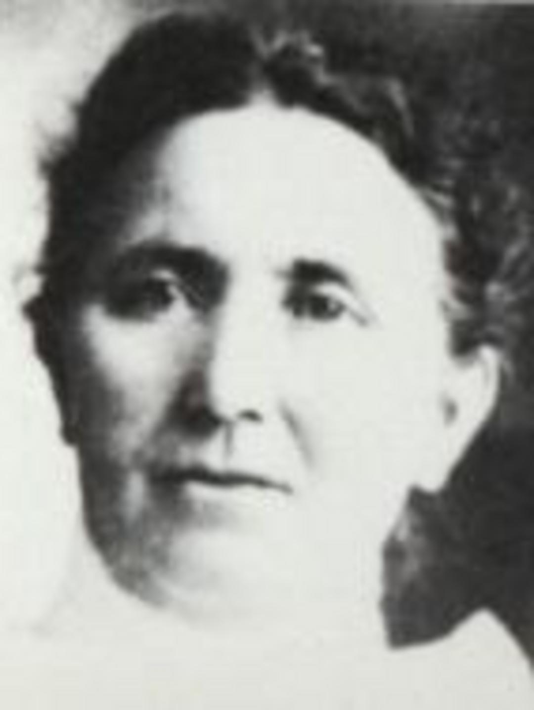 Mary Elizabeth Shupe (1848 - 1910) Profile